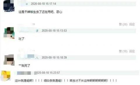 陈赫婚后爆料视频大全,揭秘明星夫妻背后的真实生活 第3张 陈赫婚后爆料视频大全,揭秘明星夫妻背后的真实生活 第3张